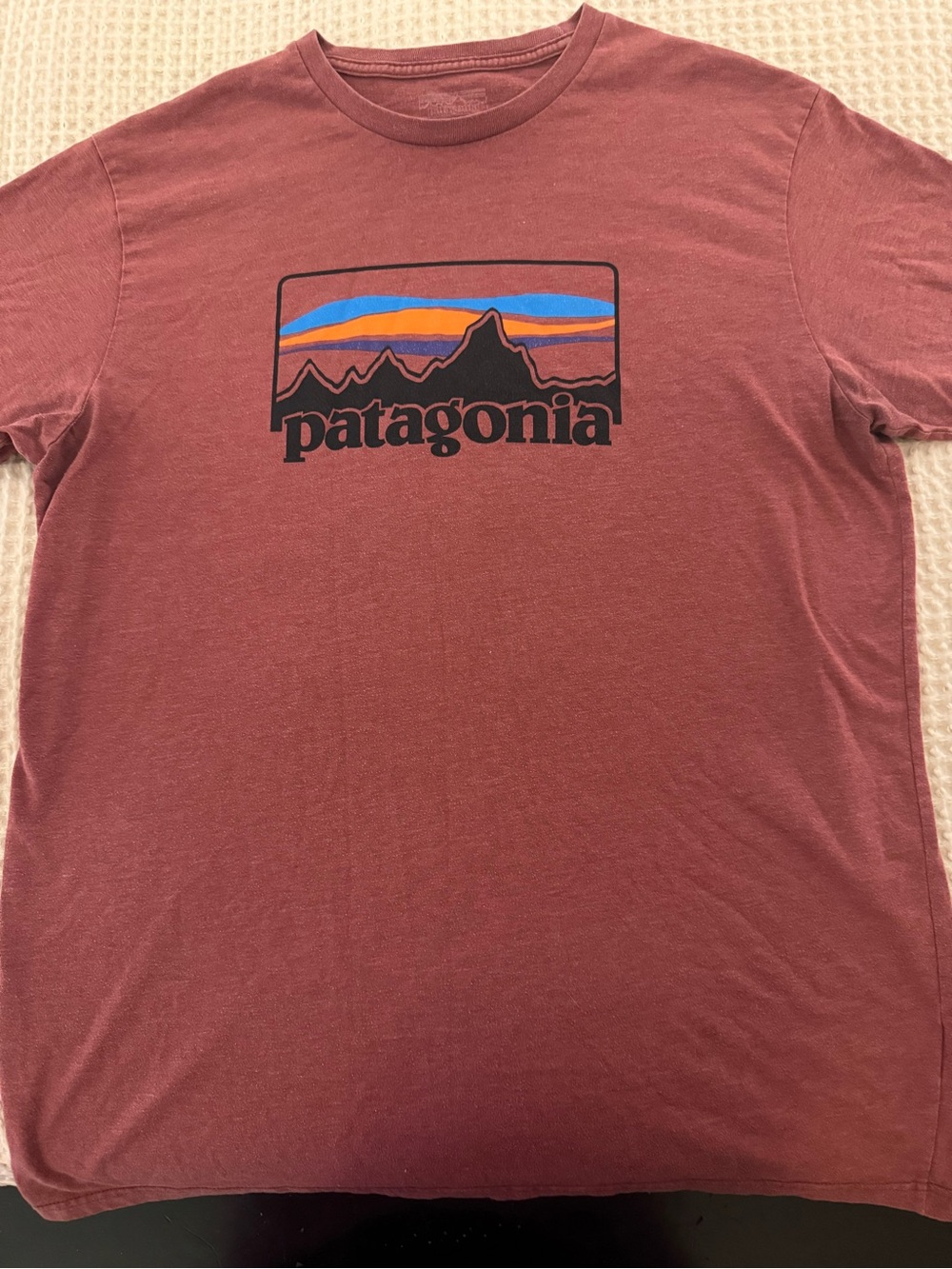 Patagonia Men's Fitz Roy Mountain Skyline Classic Graphic T-Shirt Regular Fit